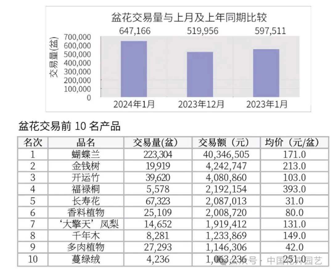 （2024年11月25日）今日短纤期货最新价格行情查询