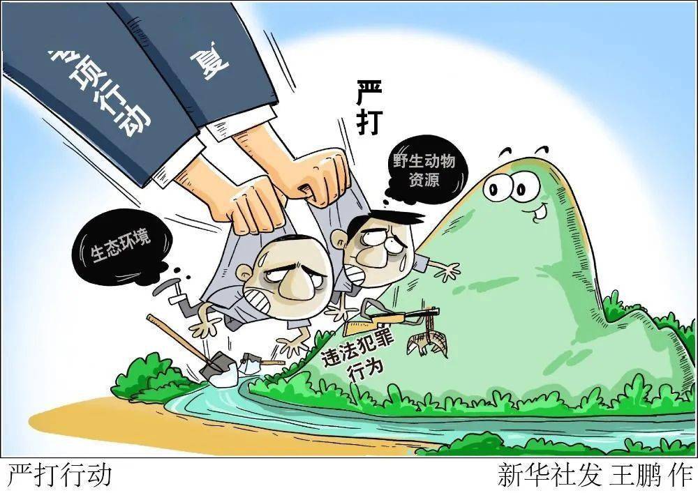 加纳成立国家反非法采矿行动秘书处